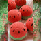 The Sass Bar Watermelon Bath Bomb